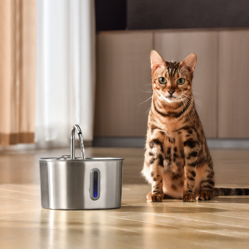 Cat sitting next to a stainless steel pet water fountain on a wooden floor.