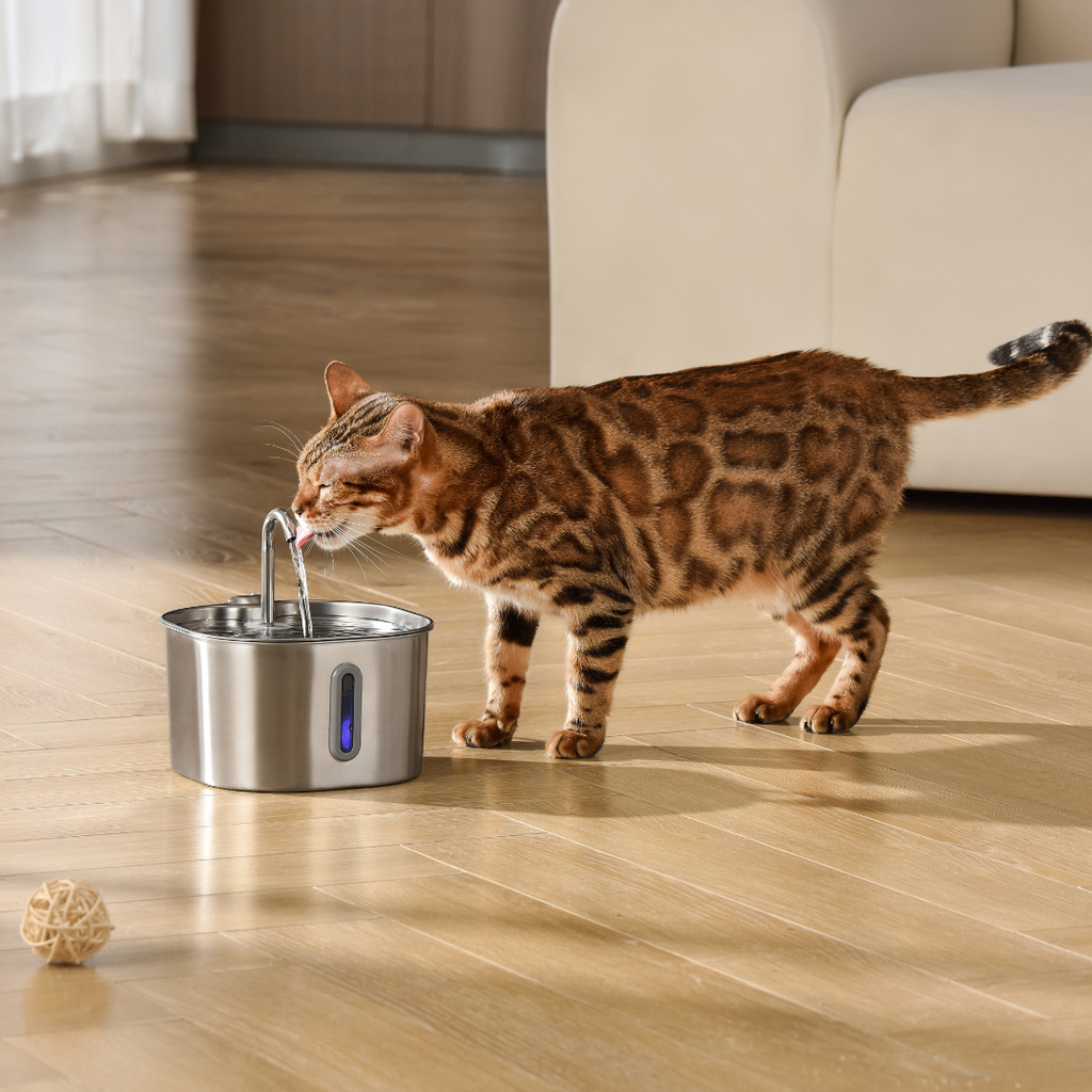Cat drinking water from a stainless steel pet fountain on a wooden floor.