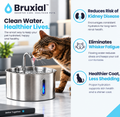 Bruxial Cat Water Fountain - The Ultimate Health Kit