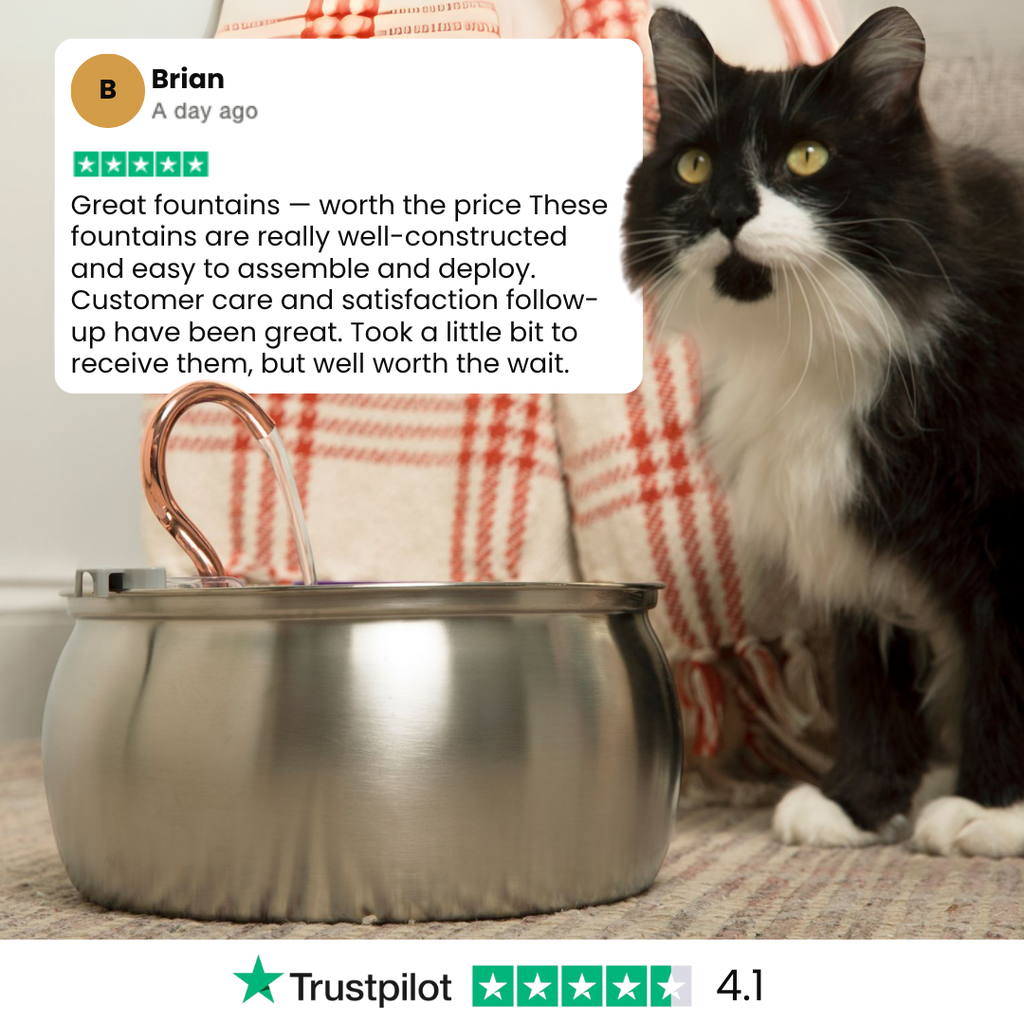 The Bruxial™ - Health & Happiness Cat Kit