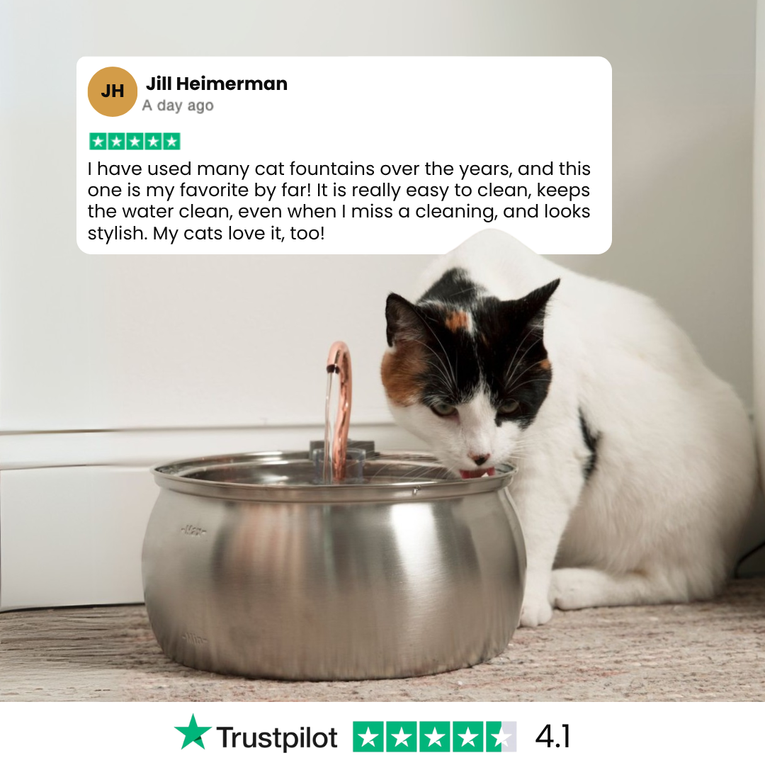 The Bruxial™ - Health & Happiness Cat Kit