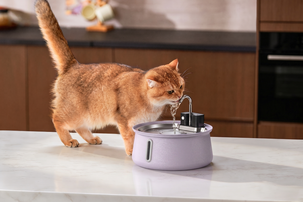 The Bruxial™ - Wireless Smart Fountain 2.0