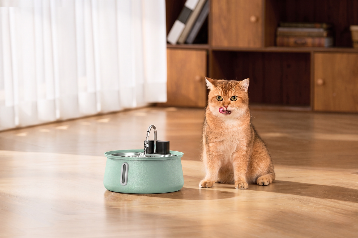 The Bruxial™ - Wireless Smart Fountain 2.0