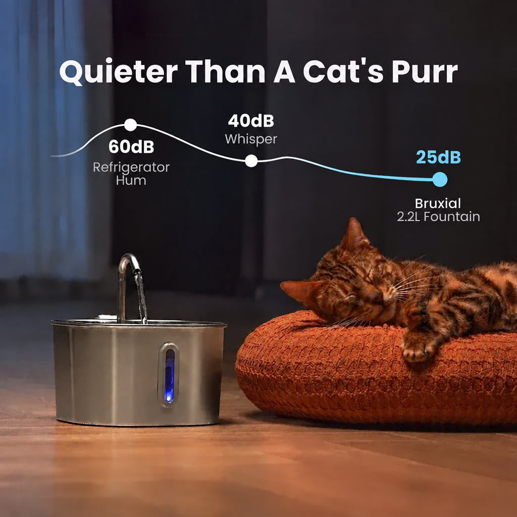 Cat sitting next to a Bruxial 2.2L fountain with sound level comparison text.